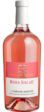 ANTONIO CAGGIANO - ROSA SALAE ROSATO IGT ANTONIO CAGGIANO - ROSA SALAE ROSATO IGT