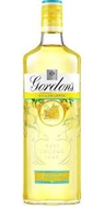 GIN GORDON