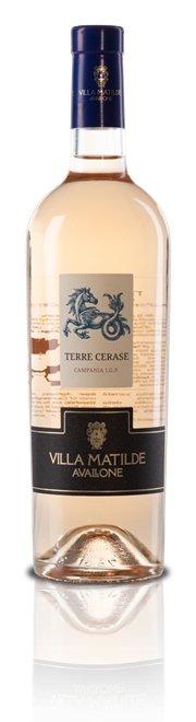 VILLA MATILDE - TERRE CERASE ROSE